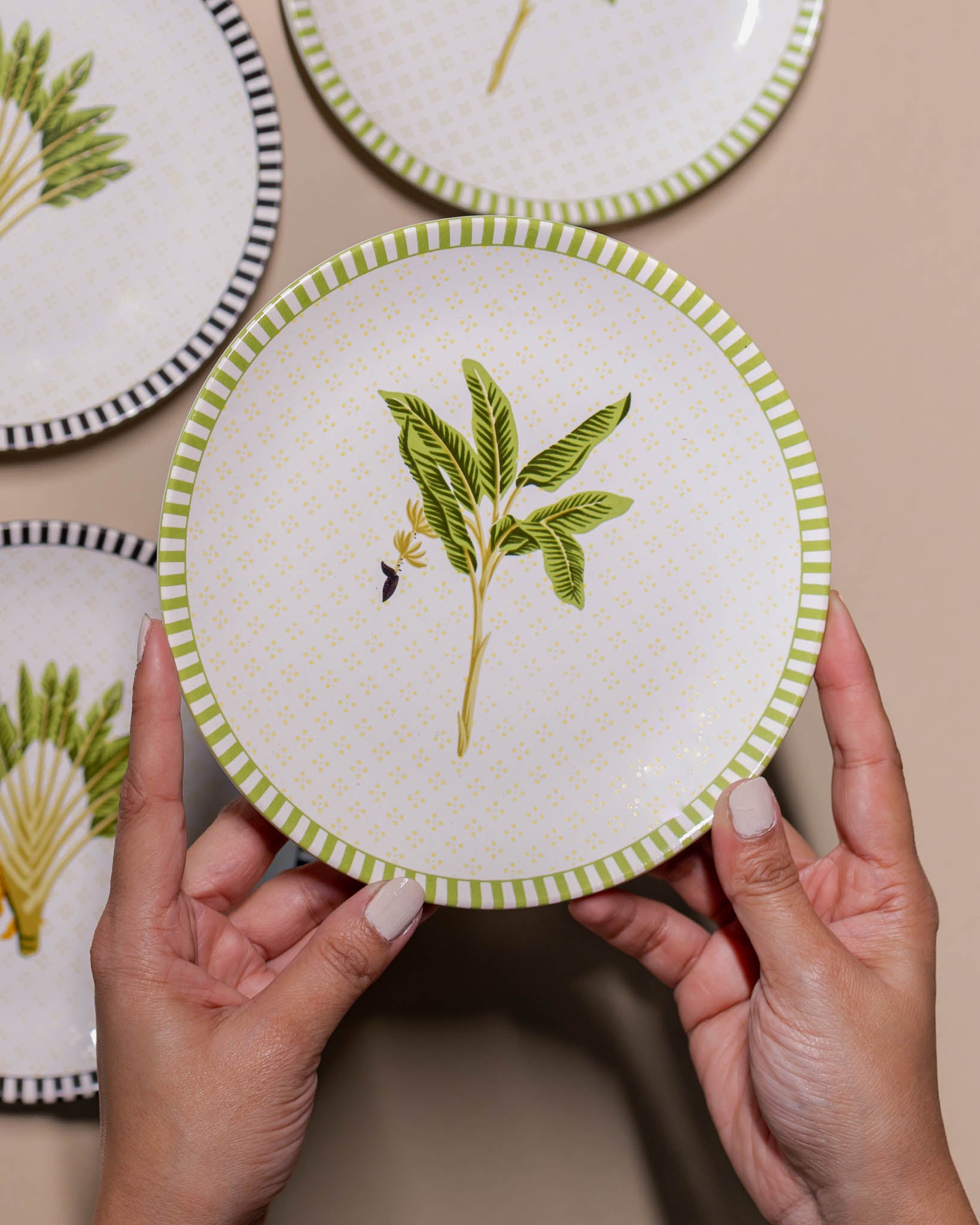 Sundarbans Starter Plates - Set of 4